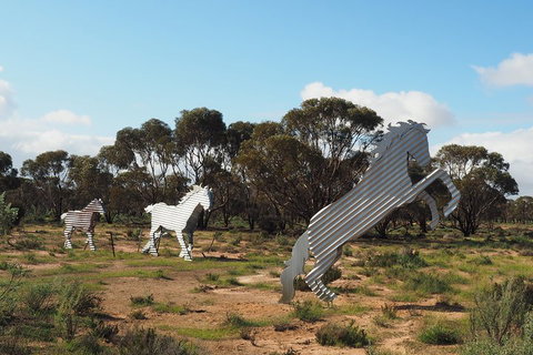 Wave Rock, Wild Flowers And Astro Photography - Hervey Bay Accommodation 5