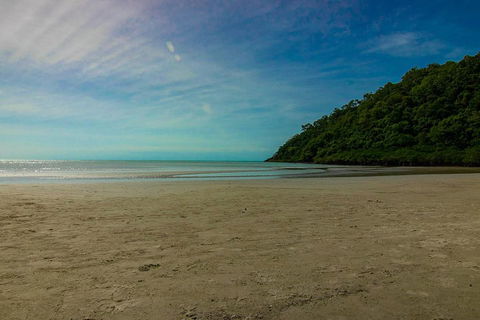 Cape Tribulation Day Tour - Hervey Bay Accommodation 2