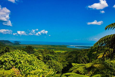 Cape Tribulation Day Tour - Hervey Bay Accommodation 3