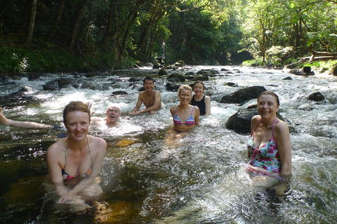 Daintree Rainforest, Cape Tribulation, Mossman Gorge Small-Group Day Tour - Hervey Bay Accommodation 0