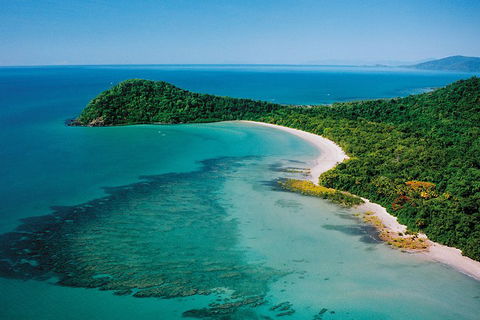 Daintree Rainforest, Cape Tribulation, Mossman Gorge Small-Group Day Tour - Hervey Bay Accommodation 4