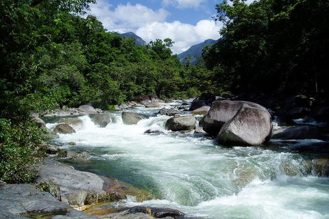 Daintree Rainforest, Cape Tribulation, Mossman Gorge Small-Group Day Tour - Hervey Bay Accommodation 5