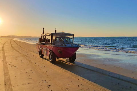 Town Of 1770 Afternoon Cruise - Tourism Hervey Bay 1
