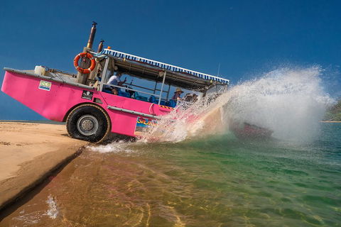Town Of 1770 Afternoon Cruise - Tourism Hervey Bay 2