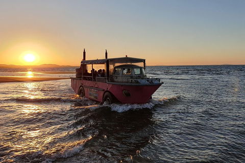 Town Of 1770 Afternoon Cruise - Tourism Hervey Bay 3