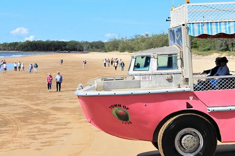 1770 Coastline Tour By LARC Amphibious Vehicle Including Picnic Lunch - Hervey Bay Accommodation 0