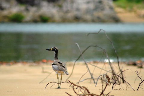 1770 Coastline Tour By LARC Amphibious Vehicle Including Picnic Lunch - Hervey Bay Accommodation 3