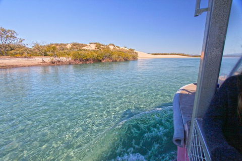 1770 Coastline Tour By LARC Amphibious Vehicle Including Picnic Lunch - Hervey Bay Accommodation 5