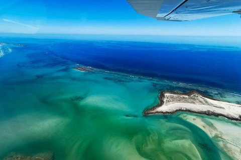 Wet Season Incredible Islands Tour - Horizontal Falls & Cygnet Bay Pearl Farm - Hervey Bay Accommodation 4