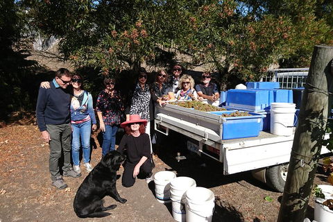Valleys Of Vino Tour - Hervey Bay Accommodation 1
