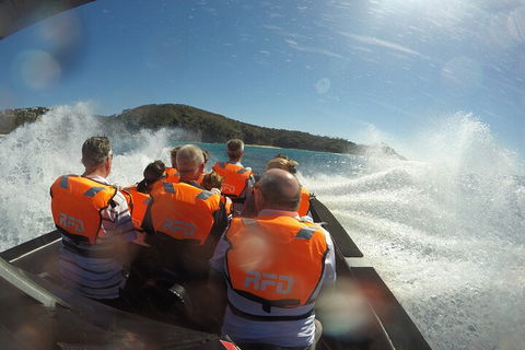 Noosa Thriller - 500hp Ocean Adventure Ride - Hervey Bay Accommodation 3