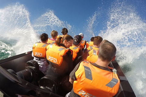 Noosa Thriller - 500hp Ocean Adventure Ride - Hervey Bay Accommodation 4