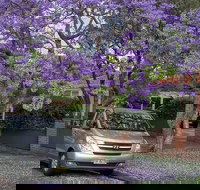 Sydney Secrets  Bondi Beach Private 4 Hr Morning with Personalised Sydney Tours - Hervey Bay Accommodation