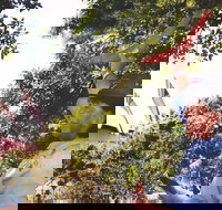 illi-Langi The Rocks Aboriginal Dreaming Tour - Hervey Bay Accommodation