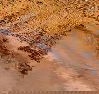 Scenic Flight Lizard Safari - Hervey Bay Accommodation