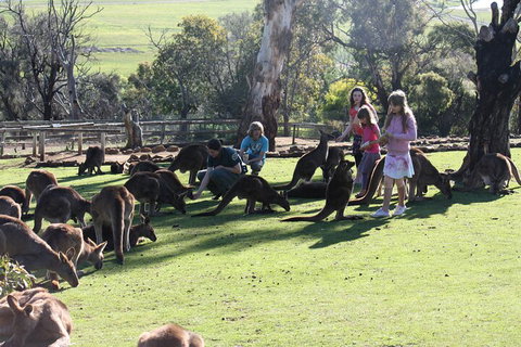 The Port Arthur MEGA Day Trip From Hobart - Hervey Bay Accommodation 5