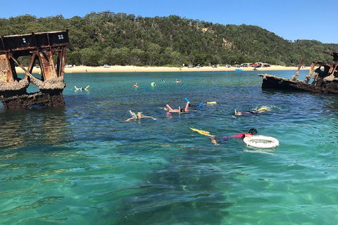 All Inclusive Dolphin And Tangalooma Wrecks Cruise - Tourism Hervey Bay 0