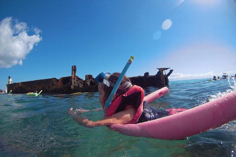 All Inclusive Dolphin And Tangalooma Wrecks Cruise - Tourism Hervey Bay 2