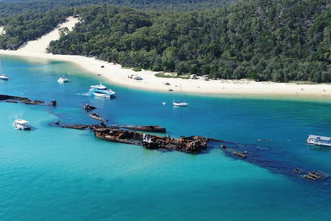 All Inclusive Dolphin And Tangalooma Wrecks Cruise - Tourism Hervey Bay 4