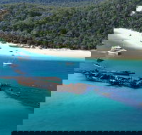 All Inclusive Tangalooma Wrecks Cruise Tour From Gold Coast - Tourism Hervey Bay
