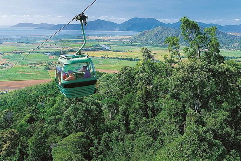 Kuranda Day Tour, TKS-RFS GRAND GOLD PLUS 0930 - Hervey Bay Accommodation 0