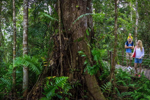 Kuranda Day Tour + HotAir Balloon Combo - Hervey Bay Accommodation 3