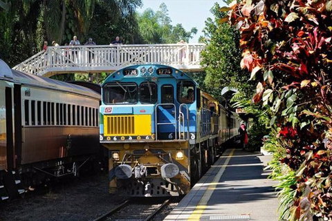 Kuranda Day Tour + HotAir Balloon Combo - Hervey Bay Accommodation 4