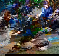 Sydney Taronga Zoo's Australian Animals Tour - Hervey Bay Accommodation