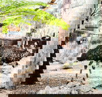 Sydney Taronga Zoo General Entry Ticket and Wild Australia Experience - Hervey Bay Accommodation