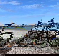 Adelaide City to Sea Bike Tour - Tourism Hervey Bay