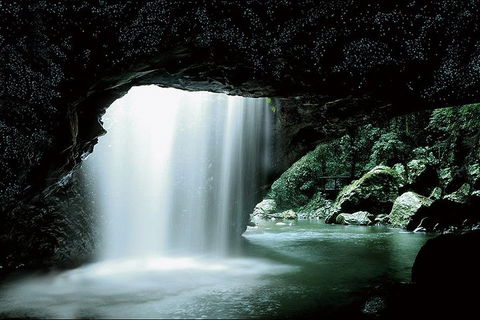 Natural Bridge Glow Worm Night Tour From Gold Coast - Hervey Bay Accommodation 0