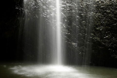 Natural Bridge Glow Worm Night Tour From Gold Coast - Hervey Bay Accommodation 2