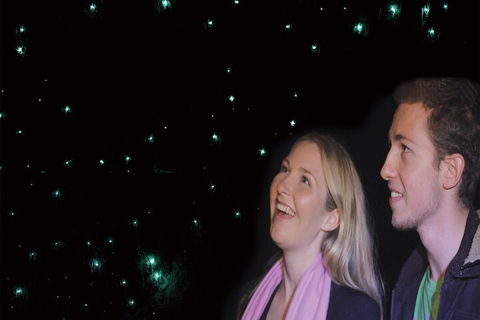 Natural Bridge Glow Worm Night Tour From Gold Coast - Hervey Bay Accommodation 3