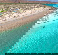 Ningaloo in a Day - Full Day Hike and Snorkel Tour with Lunch - Tourism Hervey Bay
