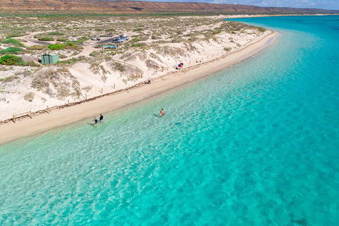 Ningaloo In A Day - Full Day Hike And Snorkel Tour With Lunch - Hervey Bay Accommodation 0
