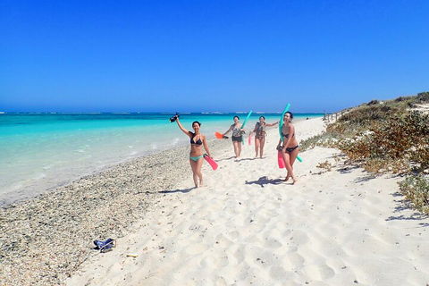 Ningaloo In A Day - Full Day Hike And Snorkel Tour With Lunch - Hervey Bay Accommodation 1