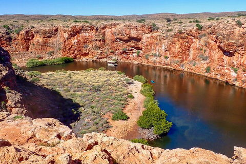 Ningaloo In A Day - Full Day Hike And Snorkel Tour With Lunch - Hervey Bay Accommodation 2