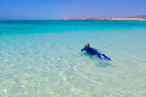 Ningaloo In A Day - Full Day Hike And Snorkel Tour With Lunch - Hervey Bay Accommodation 4