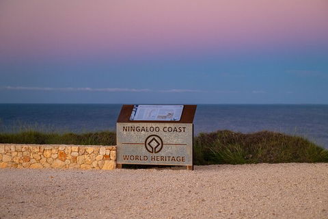 Ningaloo In A Day - Full Day Hike And Snorkel Tour With Lunch - Hervey Bay Accommodation 5