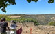 Private Mclaren Vale Wine Tour - thumb 2