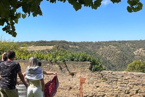 Private Mclaren Vale Wine Tour - Hervey Bay Accommodation 2