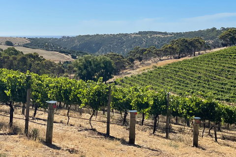 Private Mclaren Vale Wine Tour - Hervey Bay Accommodation 3