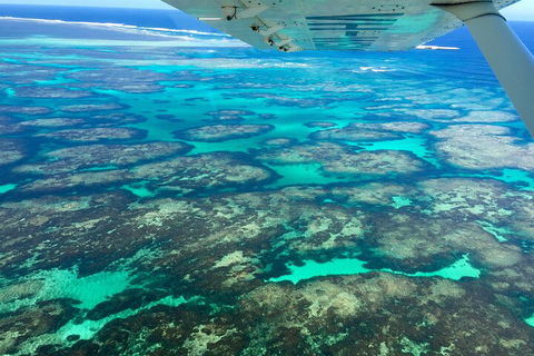 Shipwreck Special Full Day Tour Of The Abrolhos Islands - Hervey Bay Accommodation 1