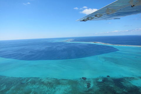 Shipwreck Special Full Day Tour Of The Abrolhos Islands - Hervey Bay Accommodation 2
