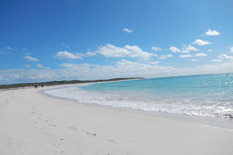 Shipwreck Special Nature Tour/Half Day Tour - Tourism Hervey Bay 0