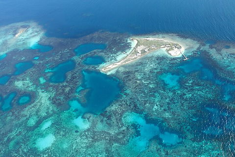 Shipwreck Special Nature Tour/Half Day Tour - Tourism Hervey Bay 5