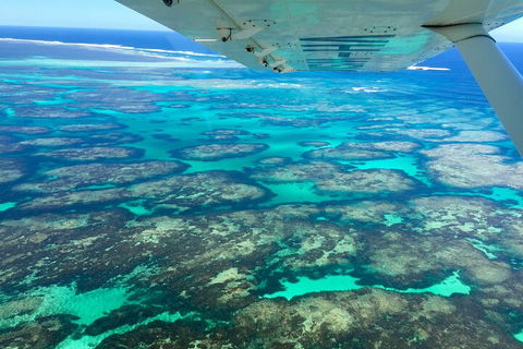 Kalbarri, Pink Lake And Abrolhos Islands Nature Tour - Hervey Bay Accommodation 5