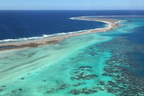 Pink Lake + Abrolhos Islands Nature Tour - Tourism Hervey Bay 2