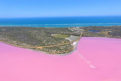 Pink Lake + Abrolhos Islands Nature Tour - Tourism Hervey Bay 4
