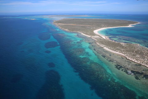 Pink Lake + Abrolhos Islands Scenic Flight - Hervey Bay Accommodation 0